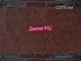 Swine Flu: Q and A. What Is Swine Flu ? part 1 of 2