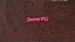 Swine Flu: Q and A. What Is Swine Flu ? part 1 of 2