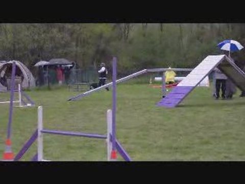 CR 2ème degré C Vanka Agility