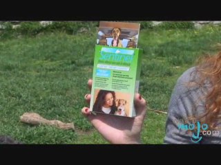 Simple Spring Dog Care Tips