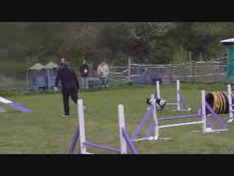 CR 2ème degré A Rollings Agility