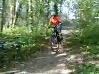VTT dirt gap lj
