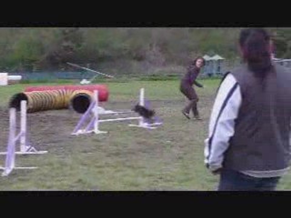 CR 3ème degré A Topaze Jumping