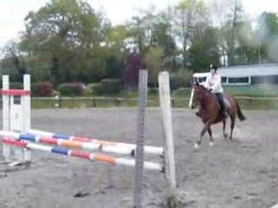 Petit-Loustique & moi au concours