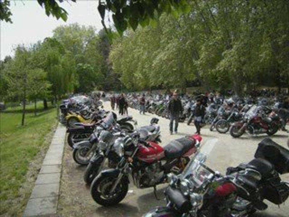 Photos des loups 2009