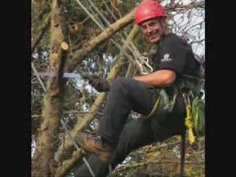 http://TreeServiceAustinTX.com Arborist Austin