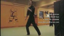 Action Karate Adult Staff Kata