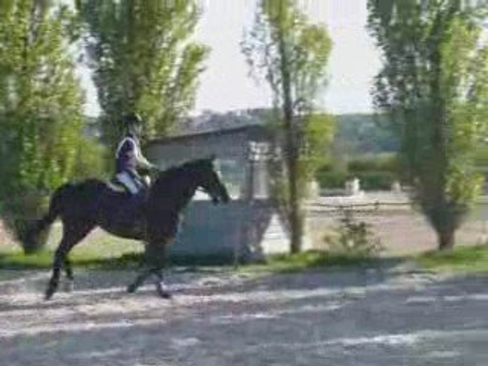 Run saut 23 avril