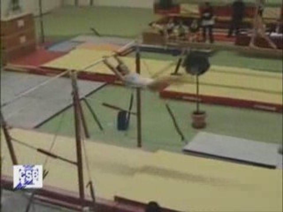 Laura Barres Asymétriques Compétition Dépt. Indiv 2009