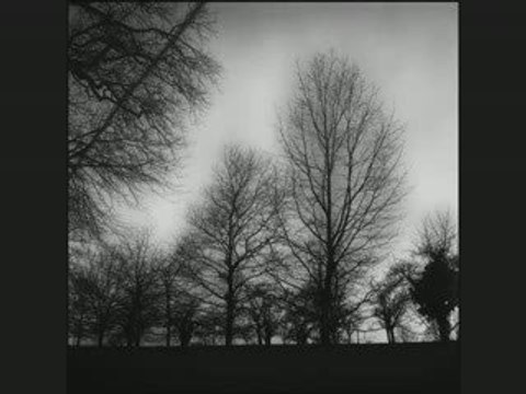 Sourate At-tahrîm - L'interdiction