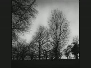 Sourate  At-tahrîm - L'interdiction