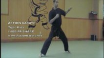 Action Karate Pennsylvania/New Jersey Tiger Kata