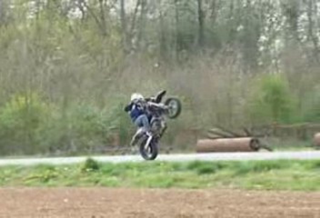 Articho training