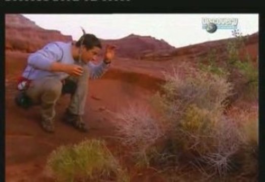 Seul Face à La Nature désert de Moab USA Utah 3/3