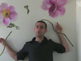 Pour en finir avec les stickers muraux, sur Yagg