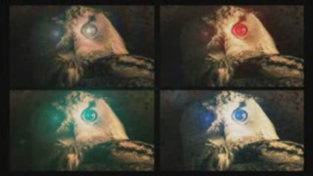 a spitting owl :p