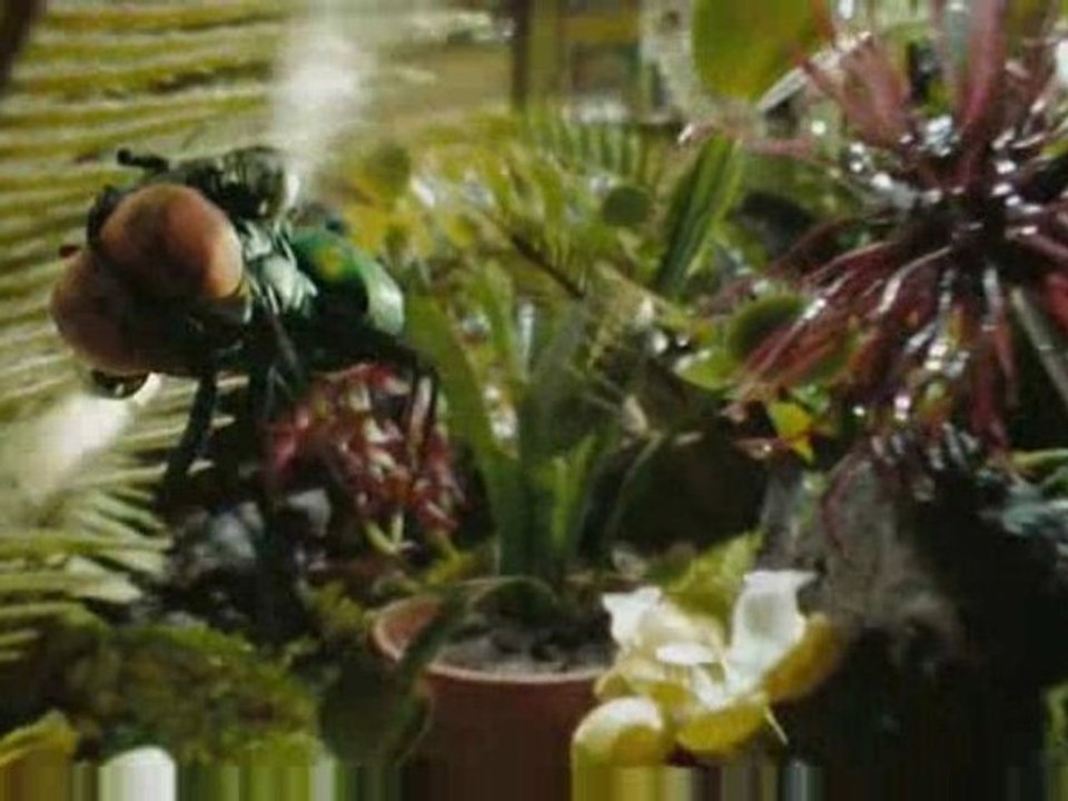 Disney's G Force 3D Movie Trailer 2009