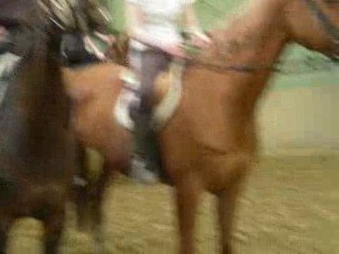 STAGE DU 27 EQUITATION CSO