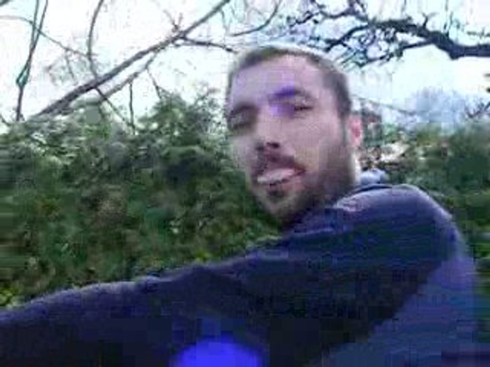 Sapri attelée 1ère fois