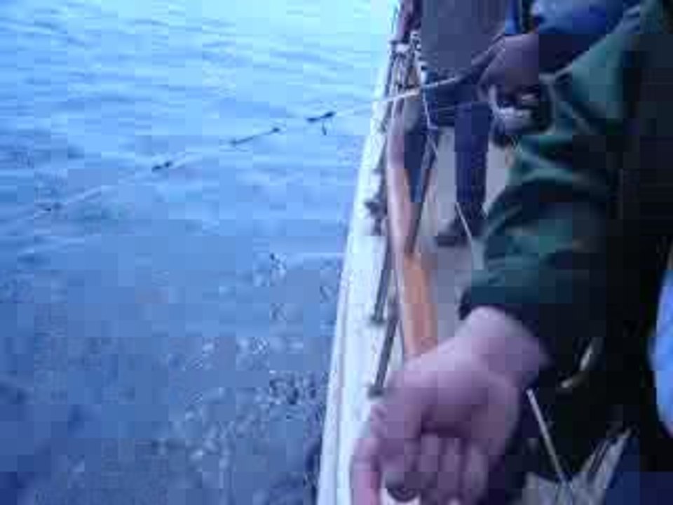 DSCN2148