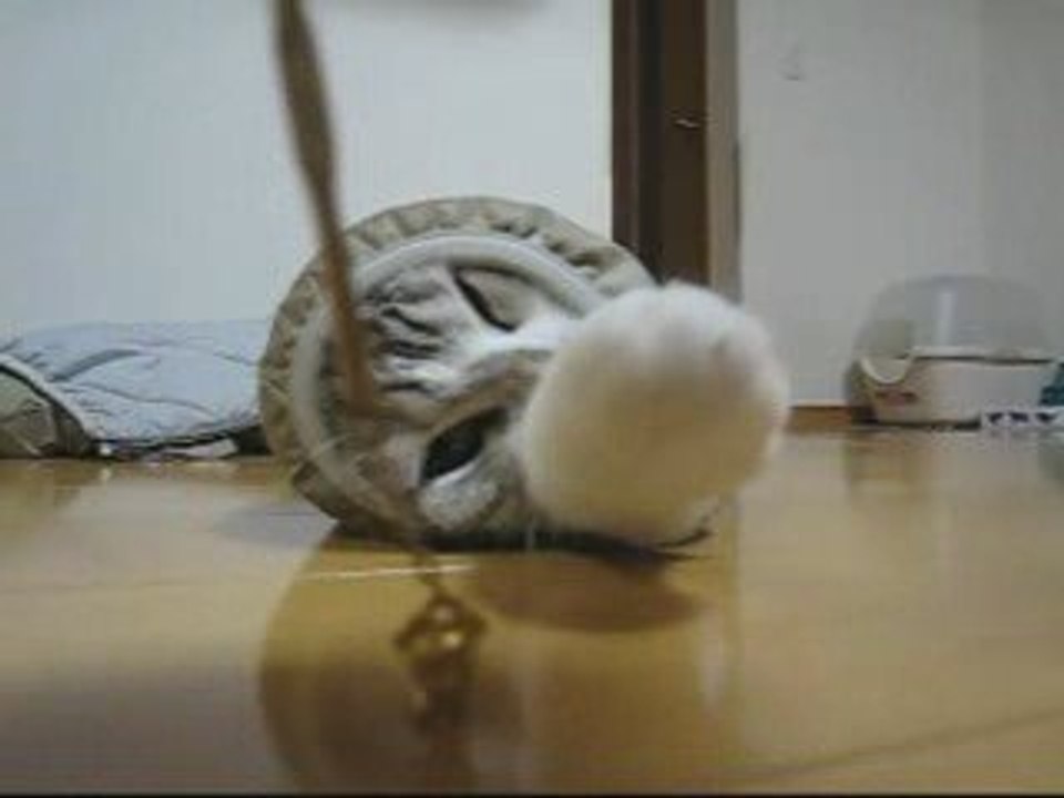 Chat-ver