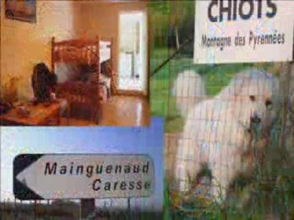 1er essai sur le chemin de Compostelle