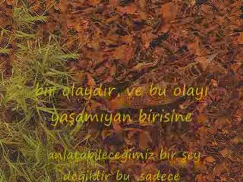 çulluk