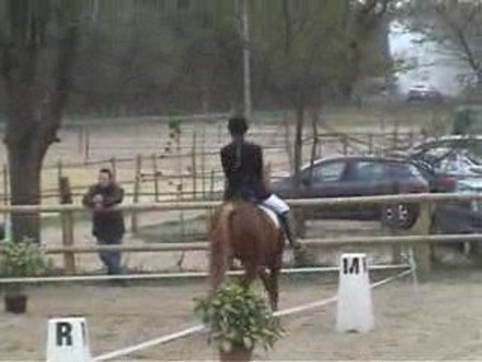 Dressage la Vallée des Rois