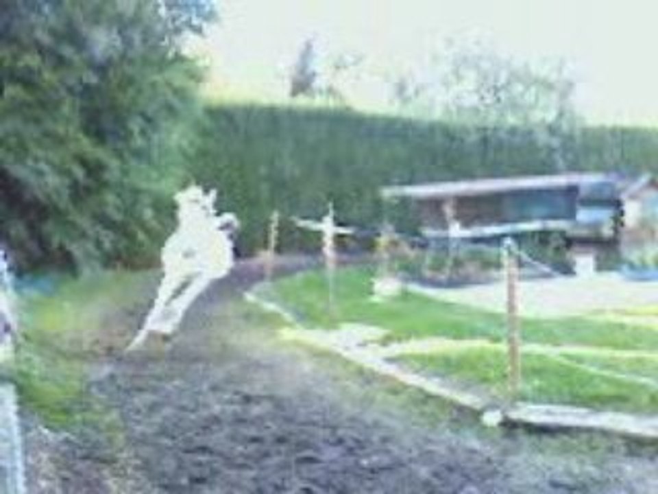 Passim le fou