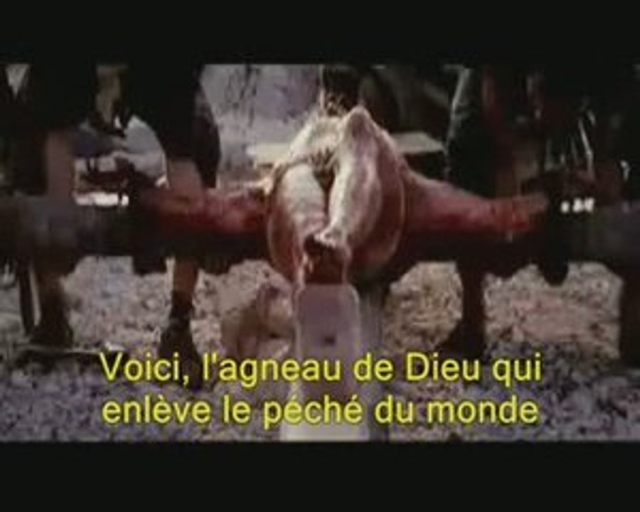 Chanson raï par djamel