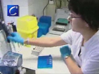 Así se contagia la gripe porcina