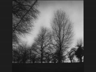 Sourate Al-Moulk - la royauté