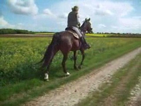 Balade avec émilie 28.04.09 205