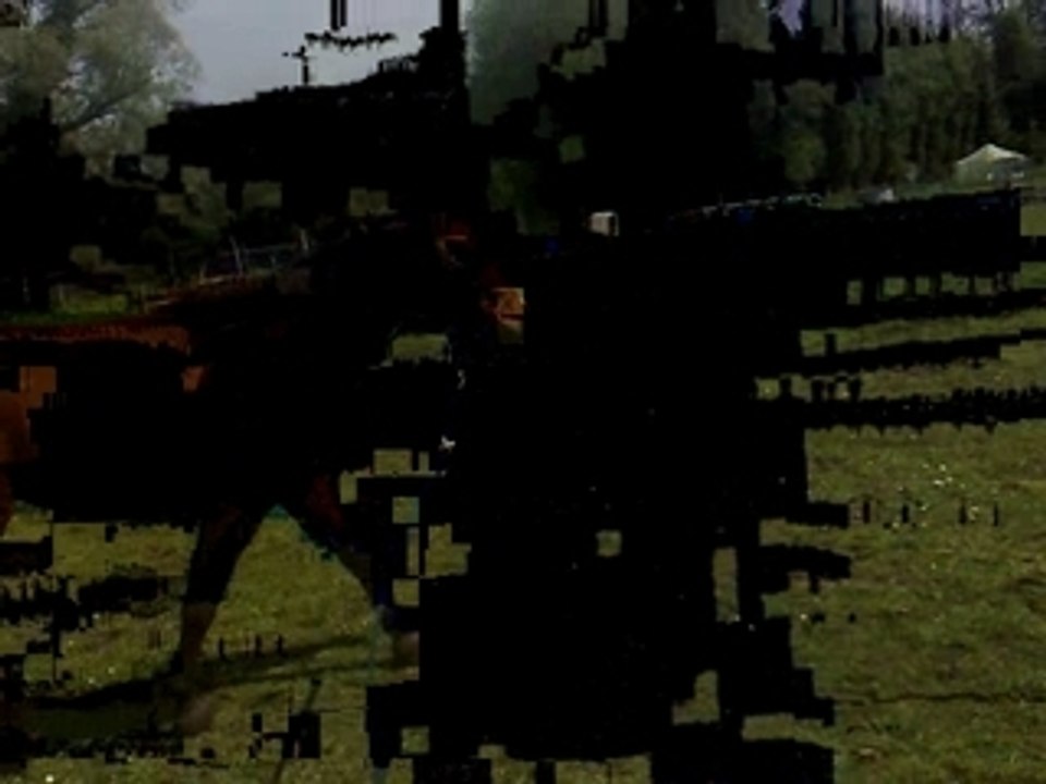 28042009041