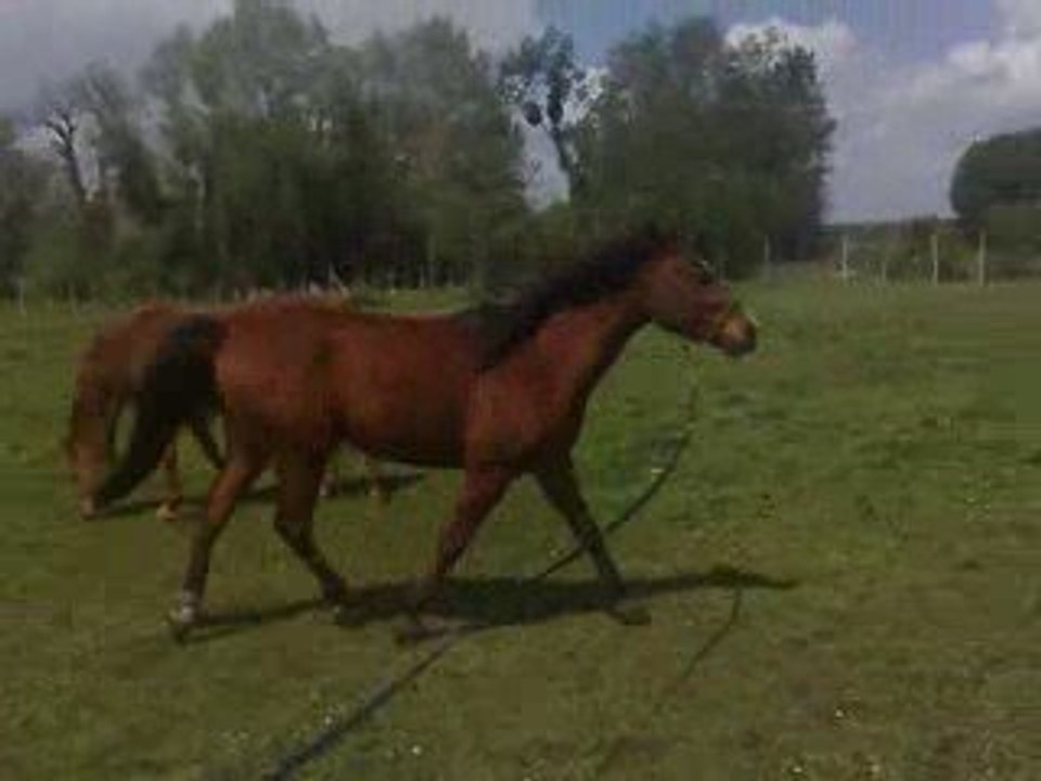 28042009043