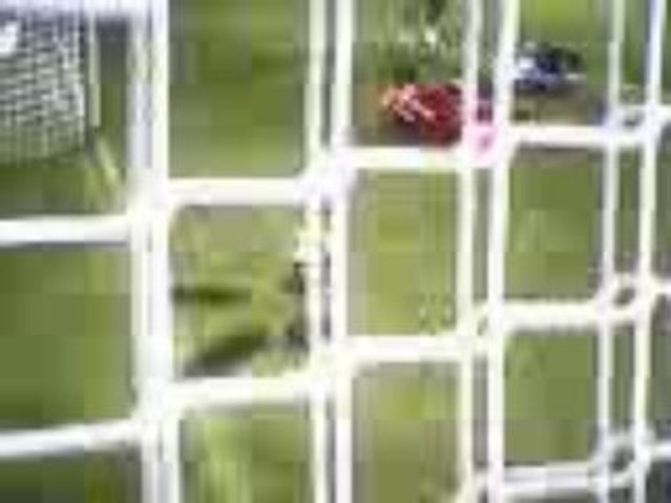 fifa 09