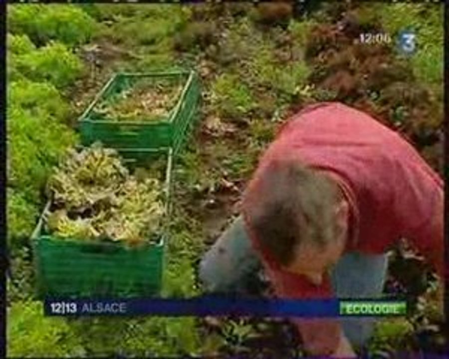 Daniel passe à la télé