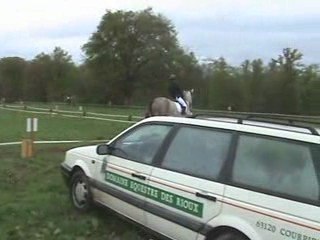 Justine dressage