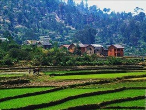 Fanja de Rakoto Frah