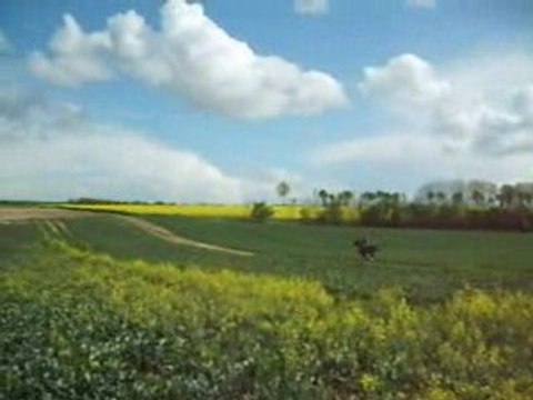 Balade avec émilie 28.04.09 207