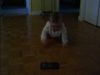 quatre pattes de kim