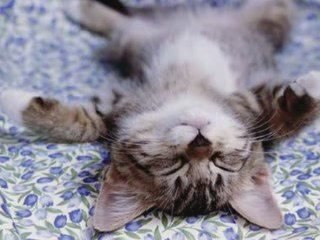 Jethro Tull | Jack-A-Lynn