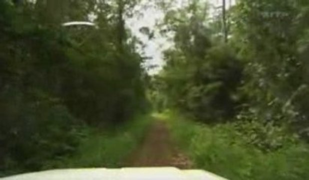 Le génocide de Léopold II, roi des Belges, au Congo (part 2)