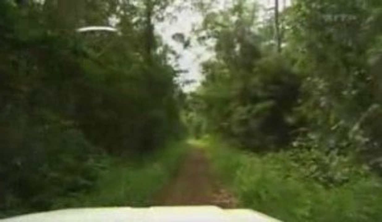 Le génocide de Léopold II, roi des Belges, au Congo (part 2)