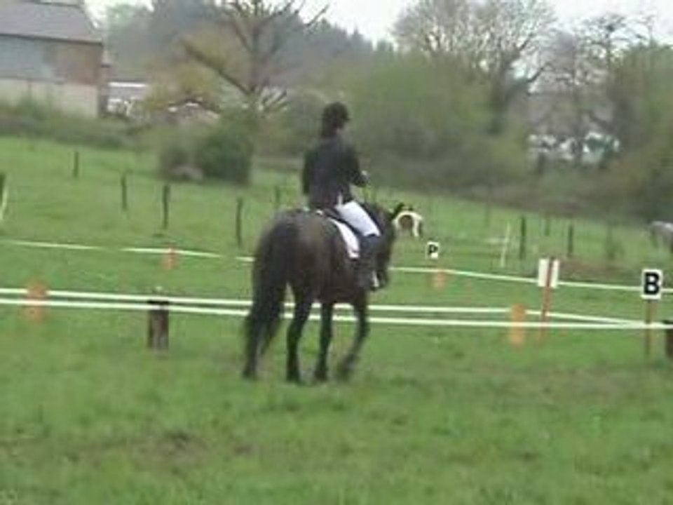 Octavie dressage