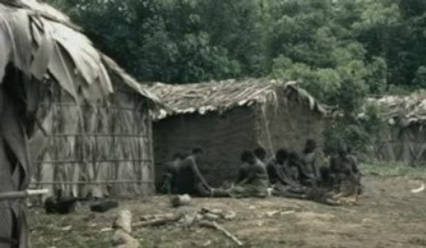 Le génocide de Léopold II, roi des Belges, au Congo (part 1)