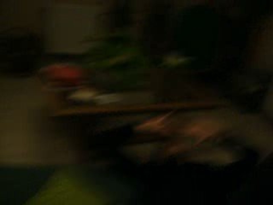 103_3833