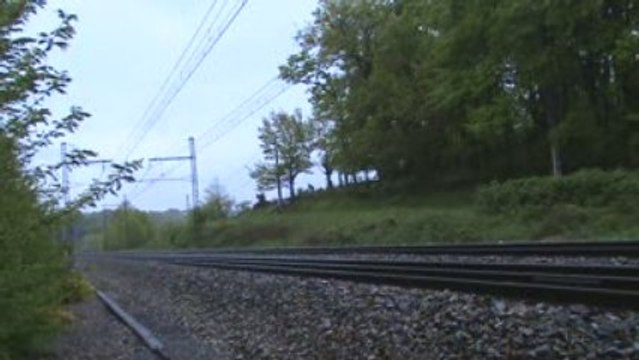 Croisement Corail Teoz 3651 & Pelerin