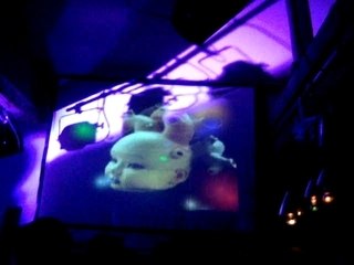 Chartre 09 -Vj biò - Mid wooder