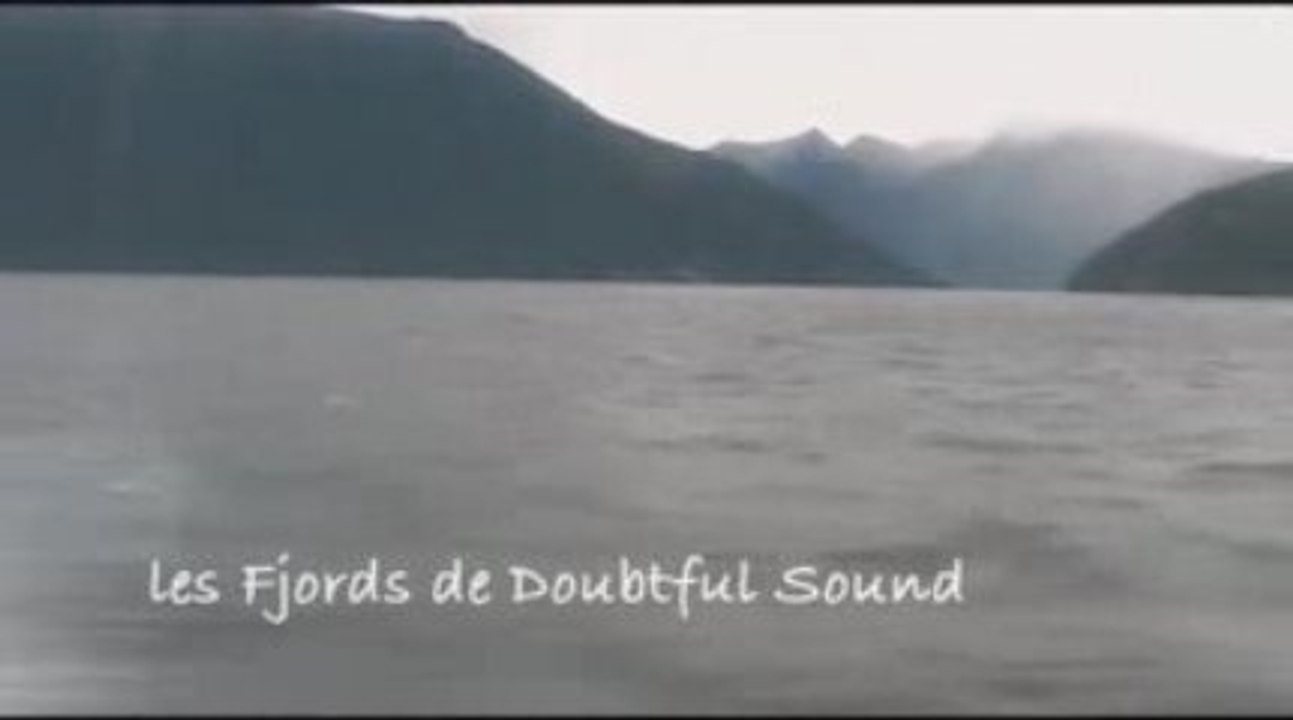 New Zealand : Into The Wild 3/3